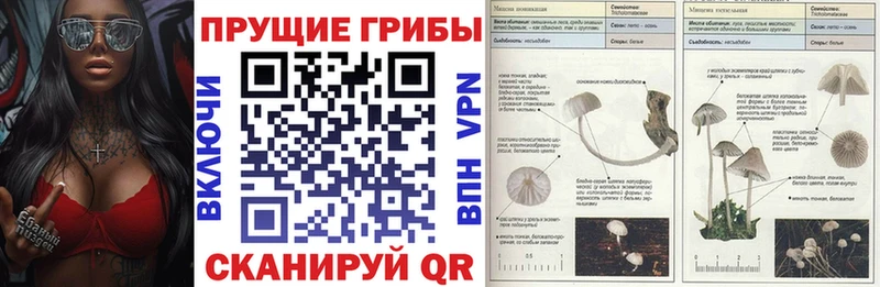 Псилоцибиновые грибы Cubensis  Уссурийск 